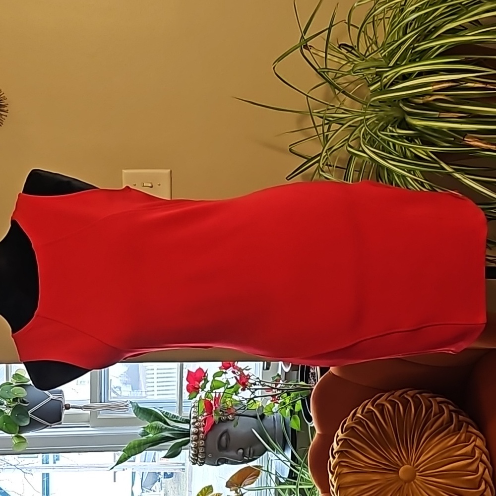Forever21 Red Bodycon Dress L